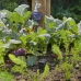 Dispositivo di Irrigazione Automatica Gardena