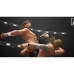 Videospil til Switch THQ Nordic AEW All Elite Wrestling Fight Forever