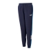 Kindertrainingspak Broek Puma Essential+ Colorblock Donkerblauw