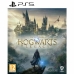 PlayStation 5 spil Warner Games Hogwarts Legacy: The legacy of Hogwarts