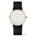 Ceas Unisex Paul Hewitt ph-sa-r-st-w-21m (Ø 39 mm)