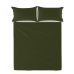 Vrchná plachta HappyFriday Basic zelená 80/90 cm posteľ