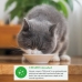 Snack for Cats Inaba Dashi Delights Κοτόπουλο 70 g