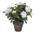 Dekorativ Plante Mica Decorations 11,5 x 27 x 20 cm