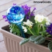 Automatic Watering Globes Aqua·Loon InnovaGoods Blue (Refurbished A)