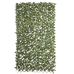 Rețea Natural Laurel răchită Bambus 2 x 200 x 100 cm