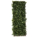 Pijetlova krijesta Natural Laurel ispleten od pruća Bambus 2 x 200 x 100 cm