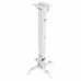 Supporto da Soffitto Inclinabile per Proiettore TooQ PJ2012T-W 20 kg