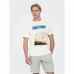 Kortærmet T-shirt til Mænd Only & Sons Onskolton Reg Beach Hvid