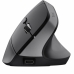 Wireless Mouse Trust Bayo+ Black