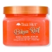 Esfoliante Corpo Tree Hut Bikini Reef 510 g