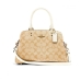 Handtas Dames Coach 91494-IMDQC Bruin 26 x 18 x 10 cm