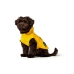 Dog Coat Hunter Milford Yellow 25 cm