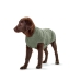 Camisola para cão Hunter Malmö Verde