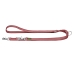 Laisse pour Chien Hunter Rouge 2 m Réglable