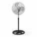 Freestanding Fan Orbegozo PWS0547