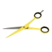 Hair scissors Zenish Professional 6