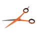 Hair scissors Zenish Professional 6