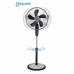 Ventilador de Pé Orbegozo SF0246 55 W Preto