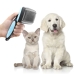 Brosse pour Animaux de Compagnie avec Dents Rétractables Groombot InnovaGoods