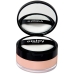 Powdered Make Up Sisley 180111