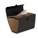 Organizatora Mape Fellowes    Akordeons Melns (25 x 36,2 x 12,4 cm)