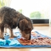 Tapis Olfactif pour Animaux de Compagnie Foopark InnovaGoods