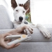 Tagliaunghie con LED per Animali Domestici Clipet InnovaGoods