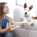 Tagliaunghie con LED per Animali Domestici Clipet InnovaGoods