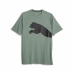 Pánské tričko s krátkým rukávem Puma 523863 44 Zelená (M)