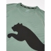 Kortærmet T-shirt til Mænd Puma 523863 44 Grøn (M)