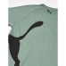 Kortærmet T-shirt til Mænd Puma 523863 44 Grøn (M)