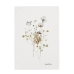 Keukendoek HappyFriday Ikebana Multicolour 70 x 50 cm (2 Stuks)
