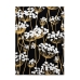 Karklud HappyFriday Blanc Golden sprouts Multifarvet 70 x 50 cm (2 enheder)