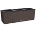 Vaso Autoirrigante Lechuza TRIO Cottage Nero polipropilene 100 x 32,5 x 34,5 cm