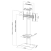 TV Statīvs Neomounts PLASMA-M1700ES 32