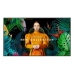 Moniteur Videowall Samsung QH50C 4K Ultra HD 50