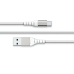 Câble USB Big Ben Interactive FPLIAC2MW Blanc 2 m