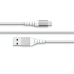 Kabel USB Big Ben Interactive FPLIAMIC2MW Bela 2 m (1 kosov)