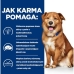 Karma Hill's Prescription Diet Derm Complete Mięso Ptaki 1,5 Kg