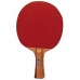 Ping Pong Ketcher Enebe Sprint