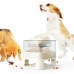 Dog Feeder Doggy Village Auto-Buffet White ABS 50 x 28 x 50 cm