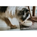 Koiran ruoka-annostelija Hunter Valkoinen Keraminen Silikoni 1,5 L Moderni
