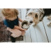 Futternapf für Hunde Hunter Grau aus Keramik Silikon 1,5 L