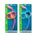 Occhialini da Snorkeling e Boccaglio per Bambini Bestway Azzurro Fucsia