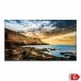 Monitorius Videowall Samsung LH43QETELGCXEN      