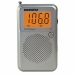 Prijenosni radio Daewoo DW1115