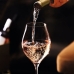 Set di calici da vino Chef&Sommelier Exaltation Trasparente 550 ml (6 Unità)