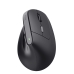 Mouse Trust 25371 Negru 2400 dpi