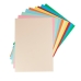 Cartolinas Liderpapel CD08 Multicolor (100 Unidades)